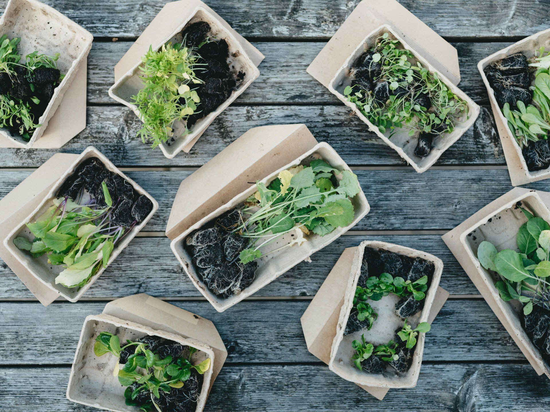 What Are the Best Strategies for Incorporating Biodegradable Materials ...